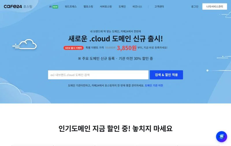 Domain search page on the Cafe24 hosting homepage